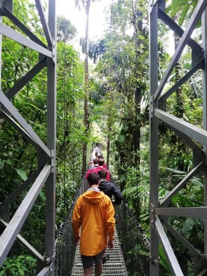 TTU CR Hanging Bridges